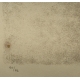 Gravure "La pipistrelle boit" signée HAINARD