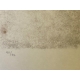 Gravure "La pipistrelle boit" signée HAINARD