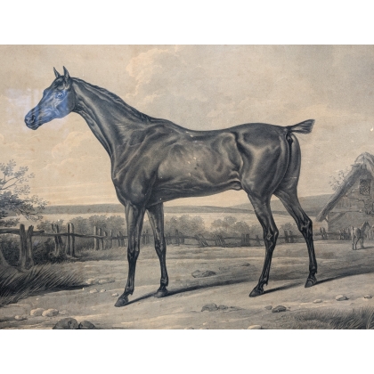 Paire de gravures "Cheval" par VERNET