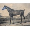 Paire de gravures "Cheval" par VERNET