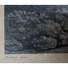 Gravure "Vue près de Stertzingen" par DIETRICY