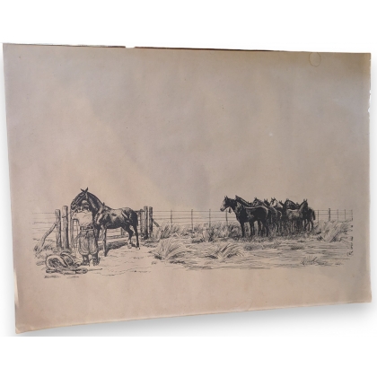 Dessin \"Gaucho\" signé SAUBIDET