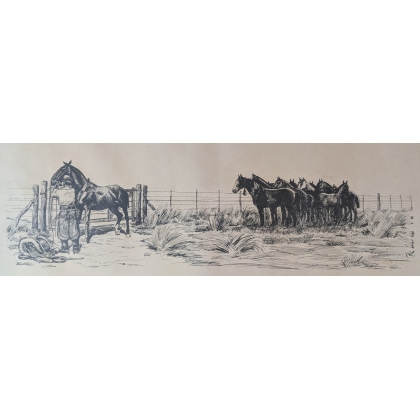Dessin "Gaucho" signé SAUBIDET