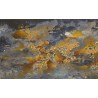 Tableau \"Poussières d\'étoiles\" signé FAURE