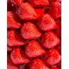 Vase \"Fraises\" en céramique