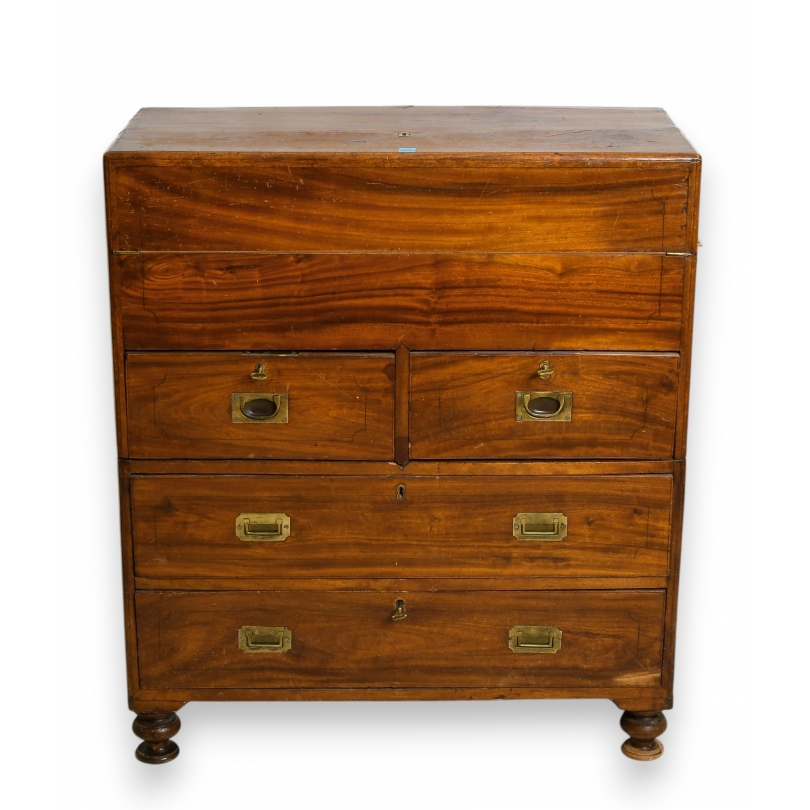 Regency-style military chest in camphor wood