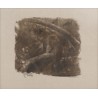 Gravure "Renard dans la pénombre" signé HAINARD