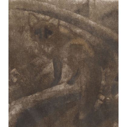 Gravure "Renard dans la pénombre" signé HAINARD