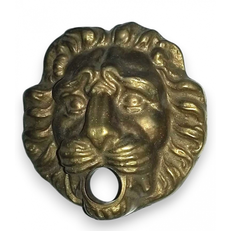 Wall plate for Lion’s Head spout