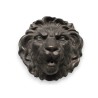 Goulot de fontaine Tête de lion