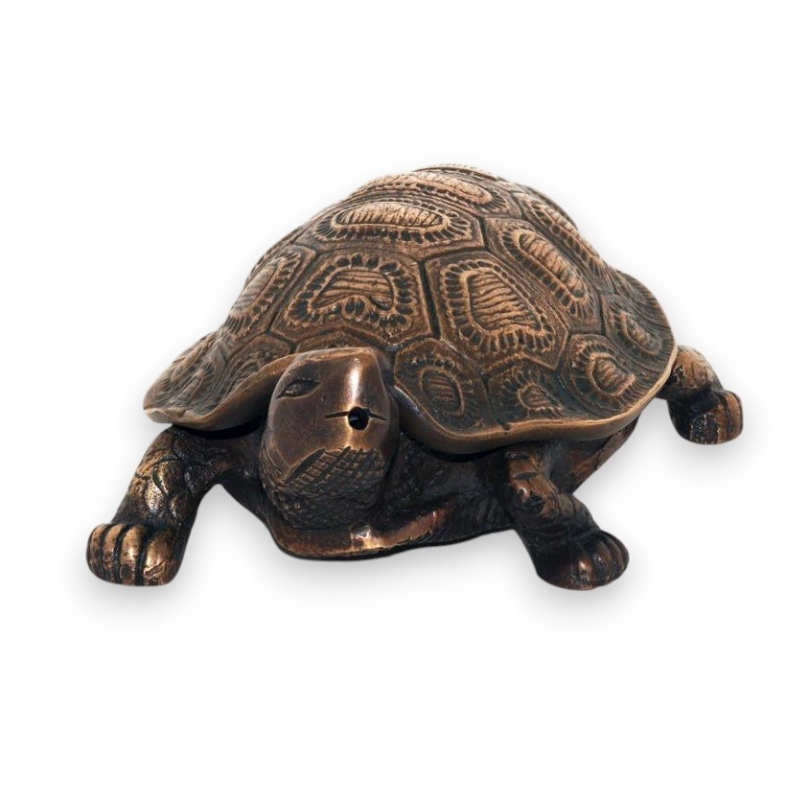 Turtle-shaped drinking fountain spout