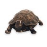Turtle-shaped drinking fountain spout
