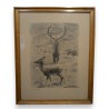Lithographie "Cerf et biche" signé HAINARD