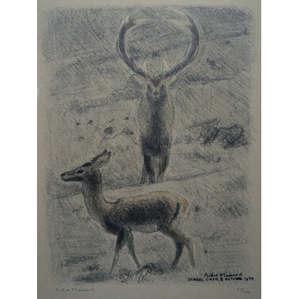 Lithographie "Cerf et biche" signé HAINARD