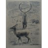 Lithographie "Cerf et biche" signé HAINARD