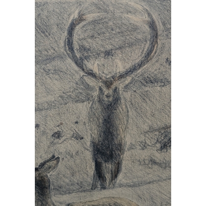 Lithographie "Cerf et biche" signé HAINARD