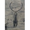 Lithographie "Cerf et biche" signé HAINARD
