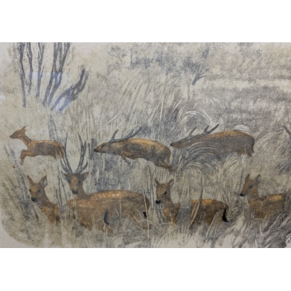 Gravure "Cerfs axis" signé HAINARD