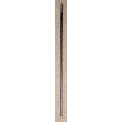 Canne pommeau en argent