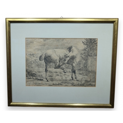 Gravure "Cheval" par J D HUBER