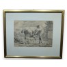 Gravure "Cheval" par J D HUBER