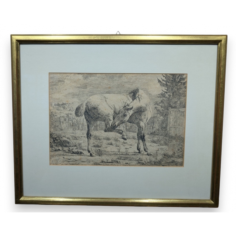 Gravure "Cheval" par J D HUBER
