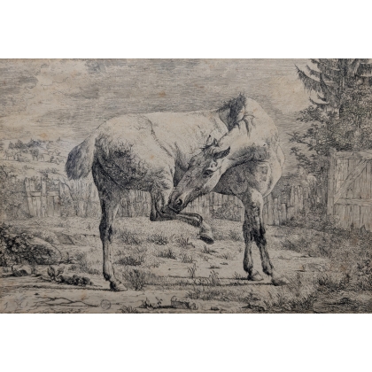 Gravure "Cheval" par J D HUBER