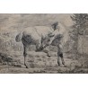 Gravure "Cheval" par J D HUBER