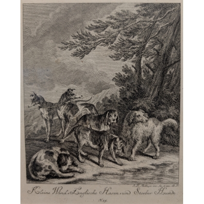 Gravure "Chiens" par RIDINGER
