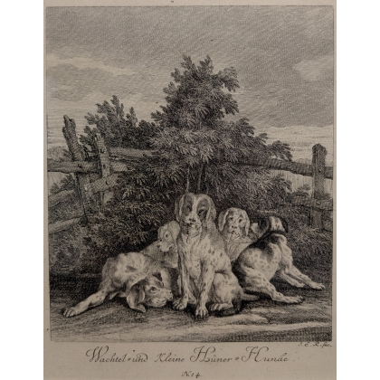 Gravure "Chiens" par RIDINGER