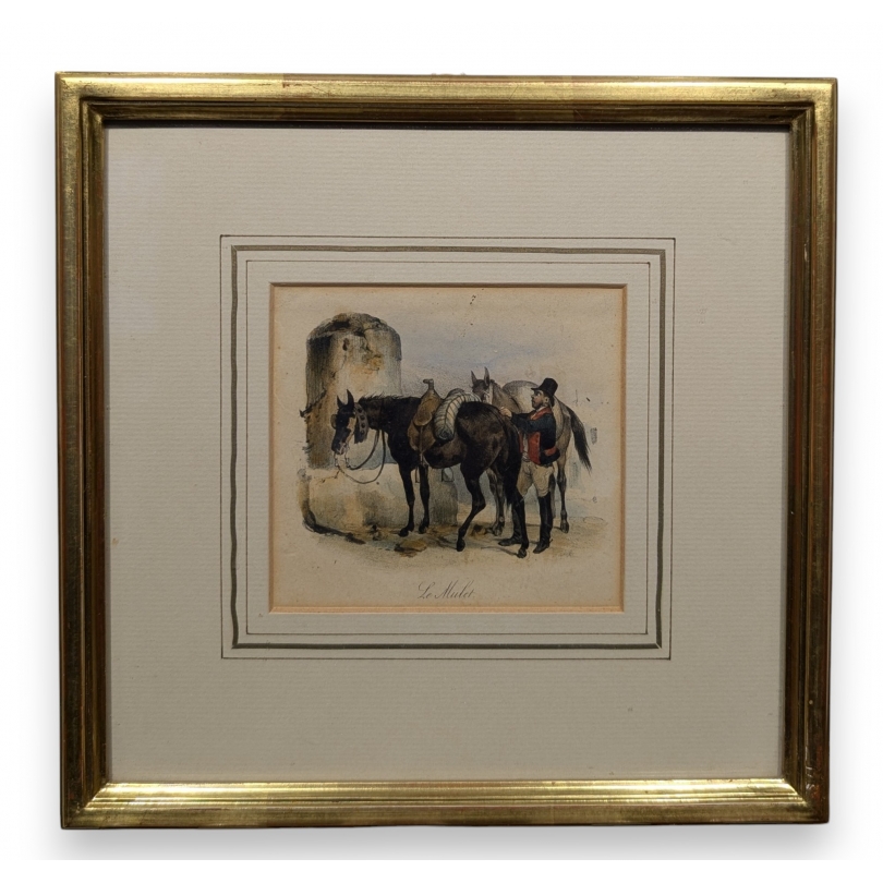 Gravure "Le Mulet"