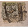 Engraving entitled ‘Chamois’, signed by Robert HAINARD
