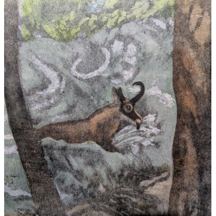 Engraving entitled ‘Chamois’, signed by Robert HAINARD