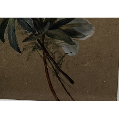 Aquarelle "Lys blanc" signée E. GUINAND