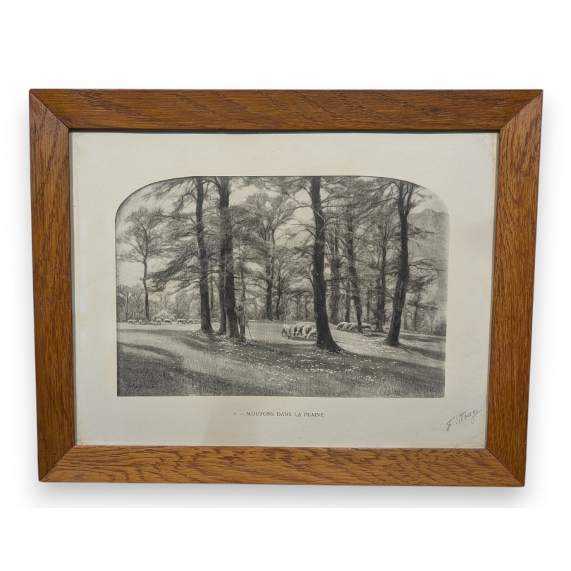 Engraving entitled ‘Sheep on the Plain’, signed F. ROUGE