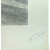 Engraving entitled ‘Sheep on the Plain’, signed F. ROUGE