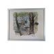 Gravure "Chamois" signé Robert HAINARD