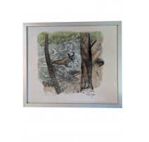 Gravure "Chamois" signé Robert HAINARD