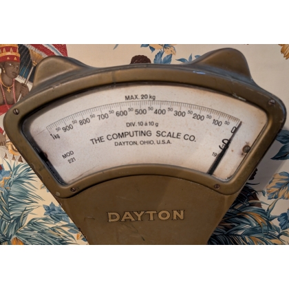 Dayton 221CC Scales
