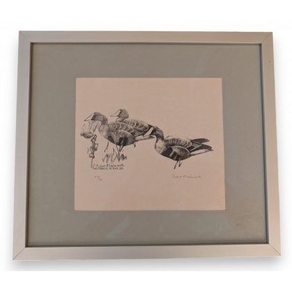 Gravure sur papier "Trois oies  sur Moinat SA  - Antiquités décoration -  Gravures, Lithos