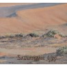 Tableau \"Dunes en Namibie\" signé SAUERMANN