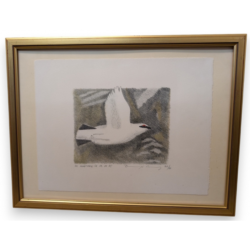 Engraving entitled ‘Snow Partridge’, signed COSANDEY