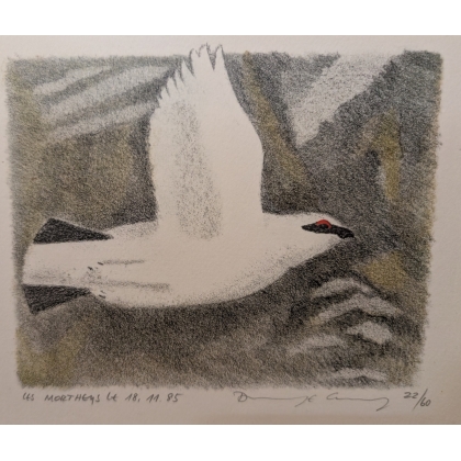 Engraving entitled ‘Snow Partridge’, signed COSANDEY