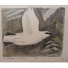Engraving entitled ‘Snow Partridge’, signed COSANDEY