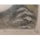 Gravure "Perdrix des neige" signée COSANDEY