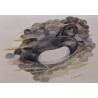 Lithograph: ‘Tufted Duck’