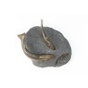 Bronze sculpture entitled ‘Three Trout’ on a stone