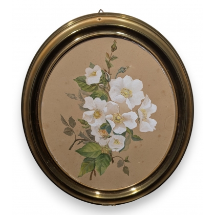 Aquarelle "Roses blanches" cadre ovale en laiton