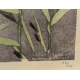 Gravure "Reflet de la Pissevache" signée HAINARD