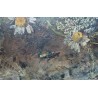 Tableau \"Nature morte\" signé Anna PETERS